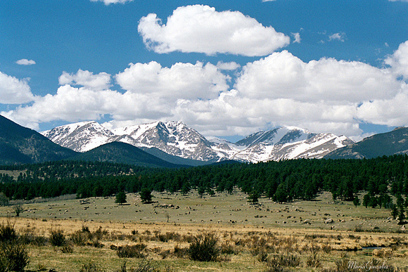 The Elks of Estes Park Colorado